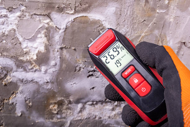 Best Professional Mold Removal  in South Sioux City, NE
